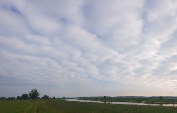 4/5 Himmel, Wollvlieswolkendecken mit himmelsblauen Streifen, darunter hohe Wiesen, wenig Elbe