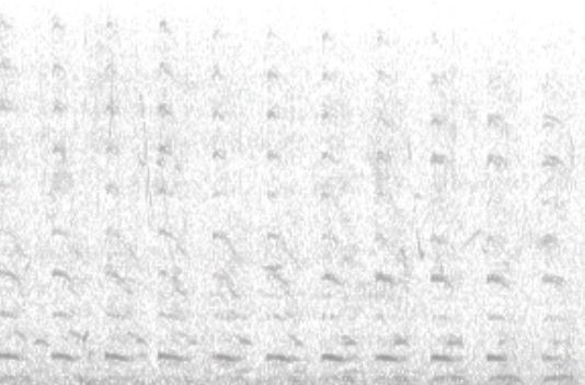 Visualisierung des Schwanenfluggeräuschs, Spalten und Reihen aus regelmäßig wiederkehrenden dunklen Abschnitten inmitten von Rauschgrau
