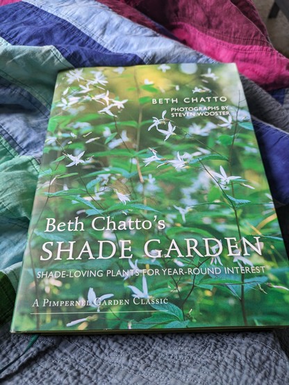 Buchcover Beth Chatto's Shade Garden 