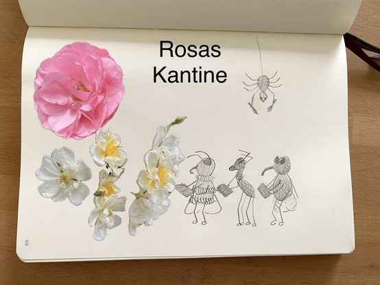 Floral arrangement with pink and white roses beside a drawing of four insects with tablets and a spider hanging from above, holding cutlery in the front legs, accompanied by the text 