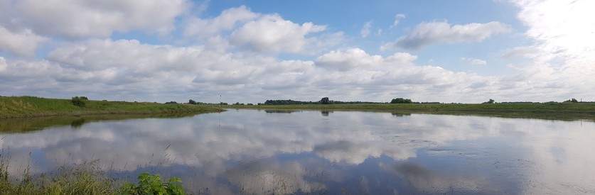 Panorama: der nordische Himmel spiegelt sich in der breiten Elbe