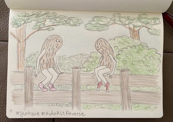 A hand-drawn illustration of two peanut characters sitting on a wooden fence in a forested area. They have textured bodies and are wearing shoes. The background features green trees and bushes. Hashtags 