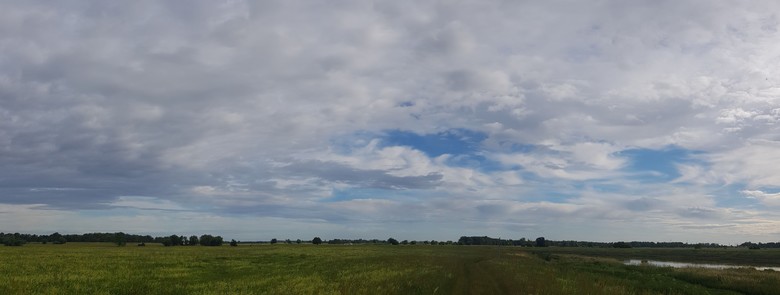 Blick nach links, blauer Himmel mit viel weißem Gewölk über labkrauthellen Wiesen und Elbe
