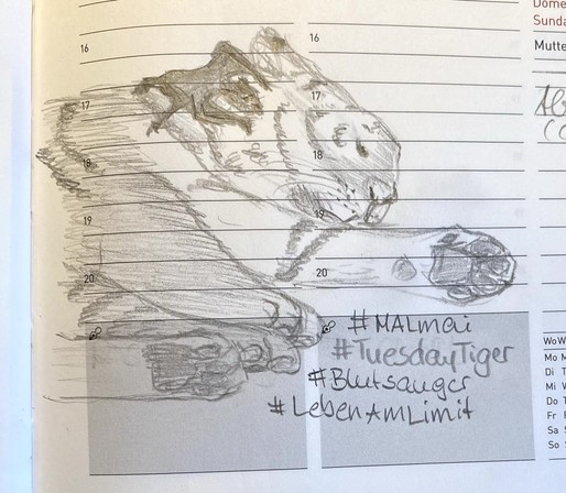 A pencil sketch of a resting tiger on a page from a planner. Hashtags written on the page include #MALmai, #TuesdayTiger, #Blutsauger, and #LebenAmLimit.