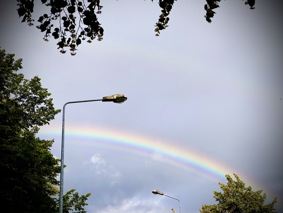 Ein Regenbogen überzieht den Himmel voller grauer Regenwolken, links im Vodergrund des Bildes stehen Bäume und 1 Straßenlaterne, ebenso rechts weiter hinten im Bild, wodurch der Eindruck verstärkt wird, dass der Regenbogen eine Brücke über eine Straße bildet.