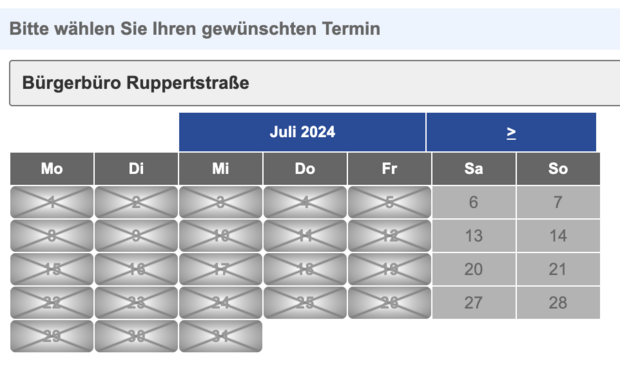 Screenshot der Online-Terminvereinbarung des Bürgerbüros München, wo für den ganzen Juli kein einziger Termin  mehr frei ist.
