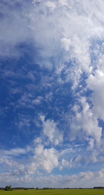 sehr hohes Foto, unten ein hauchdünner Streifen Wiesenlandschaft, der Rest ist blaue Himmel mit wattig-fluffigem Flattergewölk