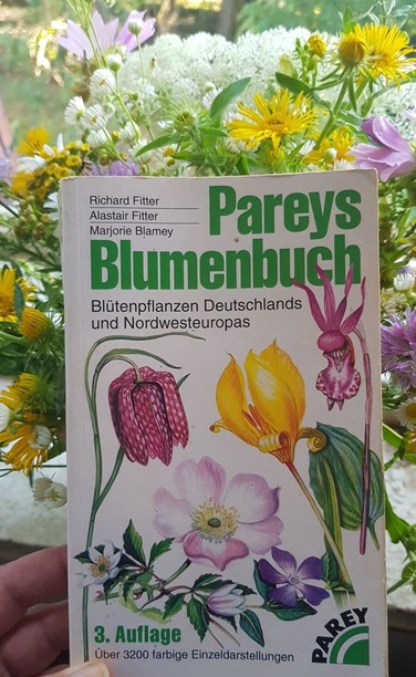 Pareys Blumenbuch
Blütenpflanzen Deutschlands und Nordwesteuropas

3. Auflage
über 3200 farbige Einzeldarstellungen

auf dem Cover bunte Blumen, hinter dem Buch ein bunter Blumenstrauß