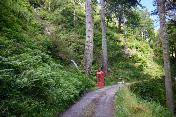 an einer kurvigen, schmalen Straße entlang eines steilen Waldhangs steht eine klassische, britische, rote Telefonzelle, dahinter kann man einen Wasserfall erahnen