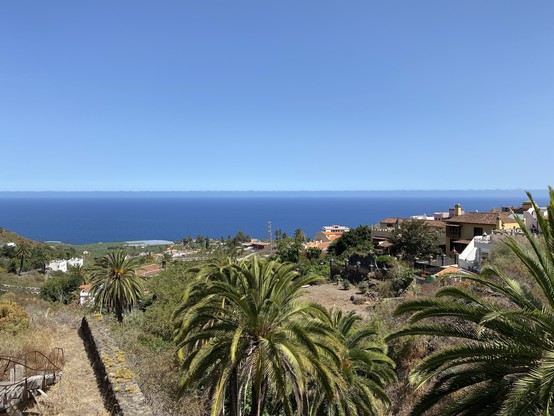 A coastal village with palm trees in the foreground, houses scattered on the hillside, and a vast view of the blue ocean meeting the clear sky in the background.
