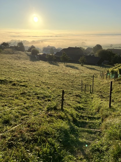 Blick von einer Anhöhe zurück auf den Wanderweg, der hier aus einer grasüberwachsenen Treppe und einer Kuhweide besteht. Dahinter ein Dorf, über dem Mittelland hängt noch ein bisschen Nebel, darüber die Morgensonne. 