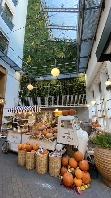 
Eine lebendige Marktszene mit einer Vielzahl von Kürbissen und Kürbissen, die auf einem Oldtimer und Körben ausgestellt sind, in einem Innenhof mit einem grünen vertikalen Garten und hängenden Lichtern. Ein Verkäufer wird gesehen, wie er den Markt besucht. Irgendwo in Athen.

A  market scene featuring a variety of pumpkins and gourds displayed on a vintage vehicle and baskets, set in a courtyard with a green vertical garden and hanging lights. A vendor is seen attending to the market.