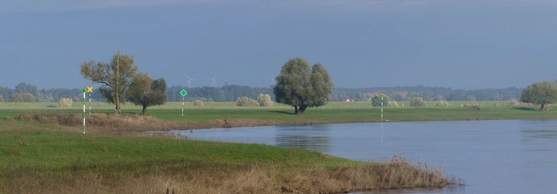 Elbkurve, Schifffahrtszeichen, Wiesen. Bäume und viel Landschaft dahinter dank Fernblick