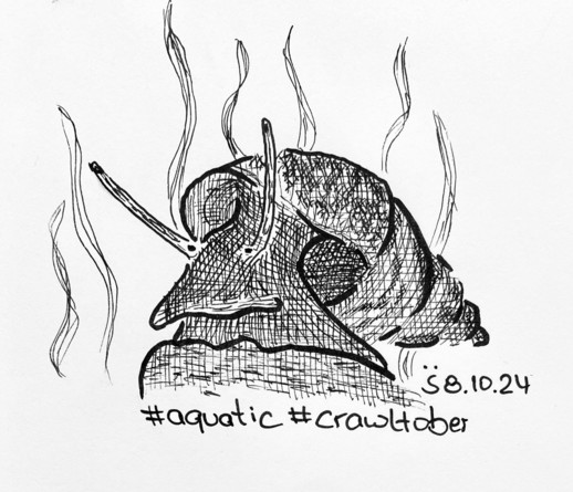 A black and white illustration of a snail with elongated antennae and flowing lines resembling seaweed above it. The bottom includes hashtags #aquatic and #crawltober, along with the date 8.10.24.