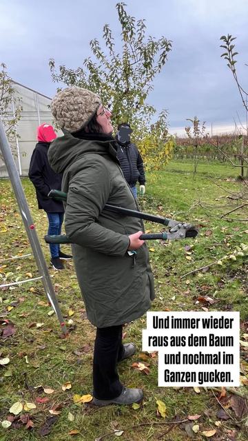 „Immer wieder raus aus dem Baum und nochmal im Ganzen gucken.“ Ich gucke. 