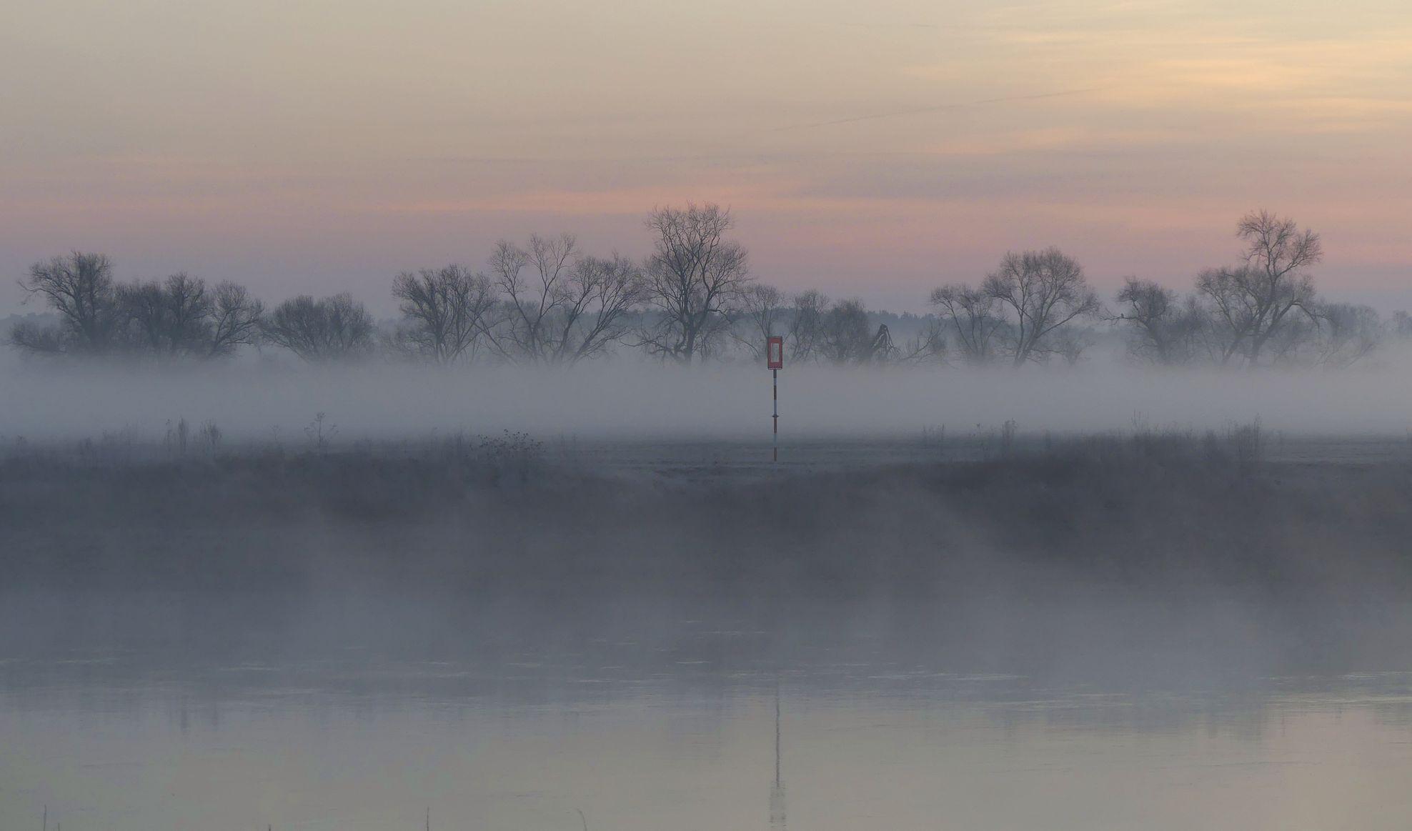 Unten Nebel, der der Elbe entsteigt, darüber Böschung, Wiese, Nebelbank, herausragende Bäume, zentral ein Schifffahrtszeichen.