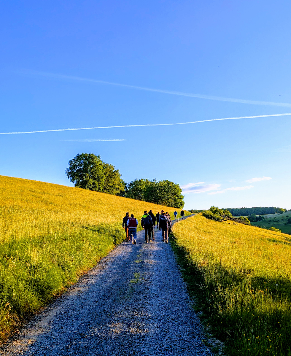 Das Bild zeigt eine Gruppe von etwa zehn Menschen, die auf einem breiten Schotterweg einen sanften Hügel hinaufwandern. Links und rechts des Weges erstrecken sich grüne und goldgelb leuchtende Wiesen, die in der tief stehenden Abendsonne warm erstrahlen. Einige Bäume stehen am Horizont, der Himmel darüber ist klar und intensiv blau, durchzogen von mehreren weißen Kondensstreifen. Das Bild zeigt eine Gruppe von etwa zehn Menschen, die auf einem breiten Schotterweg einen sanften Hügel hinaufwandern. Links und rechts des Weges erstrecken sich grüne und goldgelb leuchtende Wiesen, die in der tief stehenden Abendsonne warm erstrahlen. Einige Bäume stehen am Horizont, der Himmel darüber ist klar und intensiv blau, durchzogen von mehreren weißen Kondensstreifen.