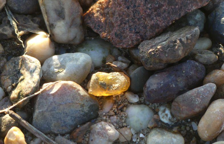 ein bernsteinfarbener, gläserner Achat zwischen Kieseln