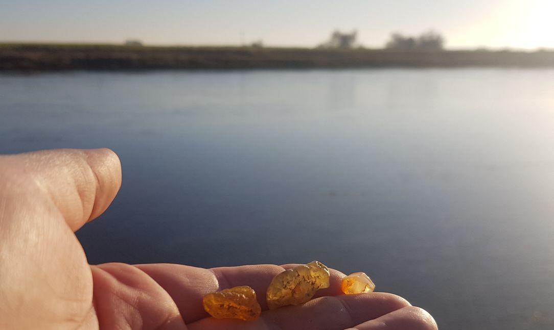 3 bernsteinfarbene, durchscheinende Steine, klein, auf meiner Hand mit Elbe im Hintergrund