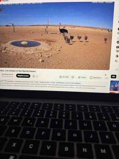 Posted media