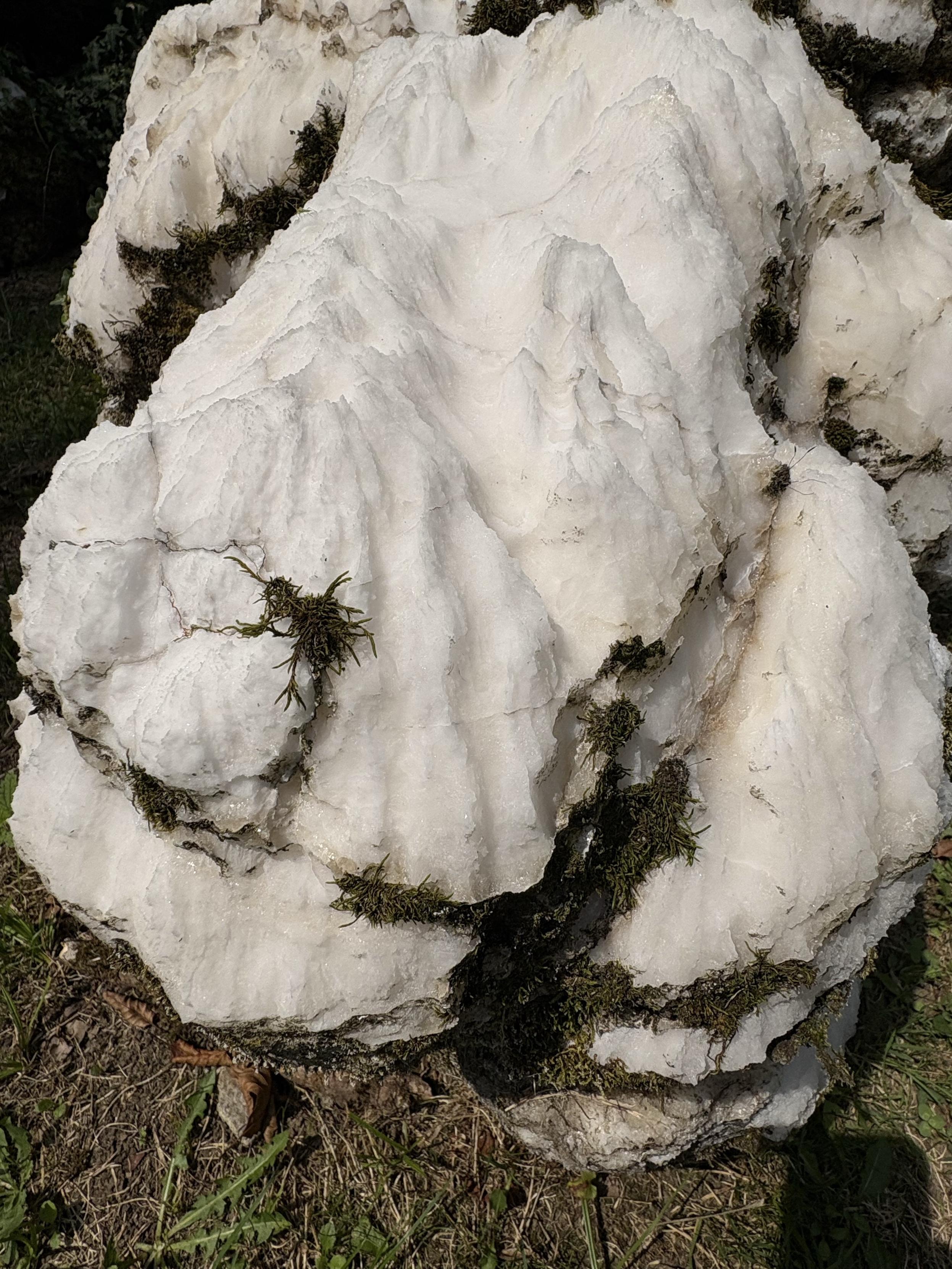A large boulder of alabaster showing its crystalline structure. Moss is growing in places