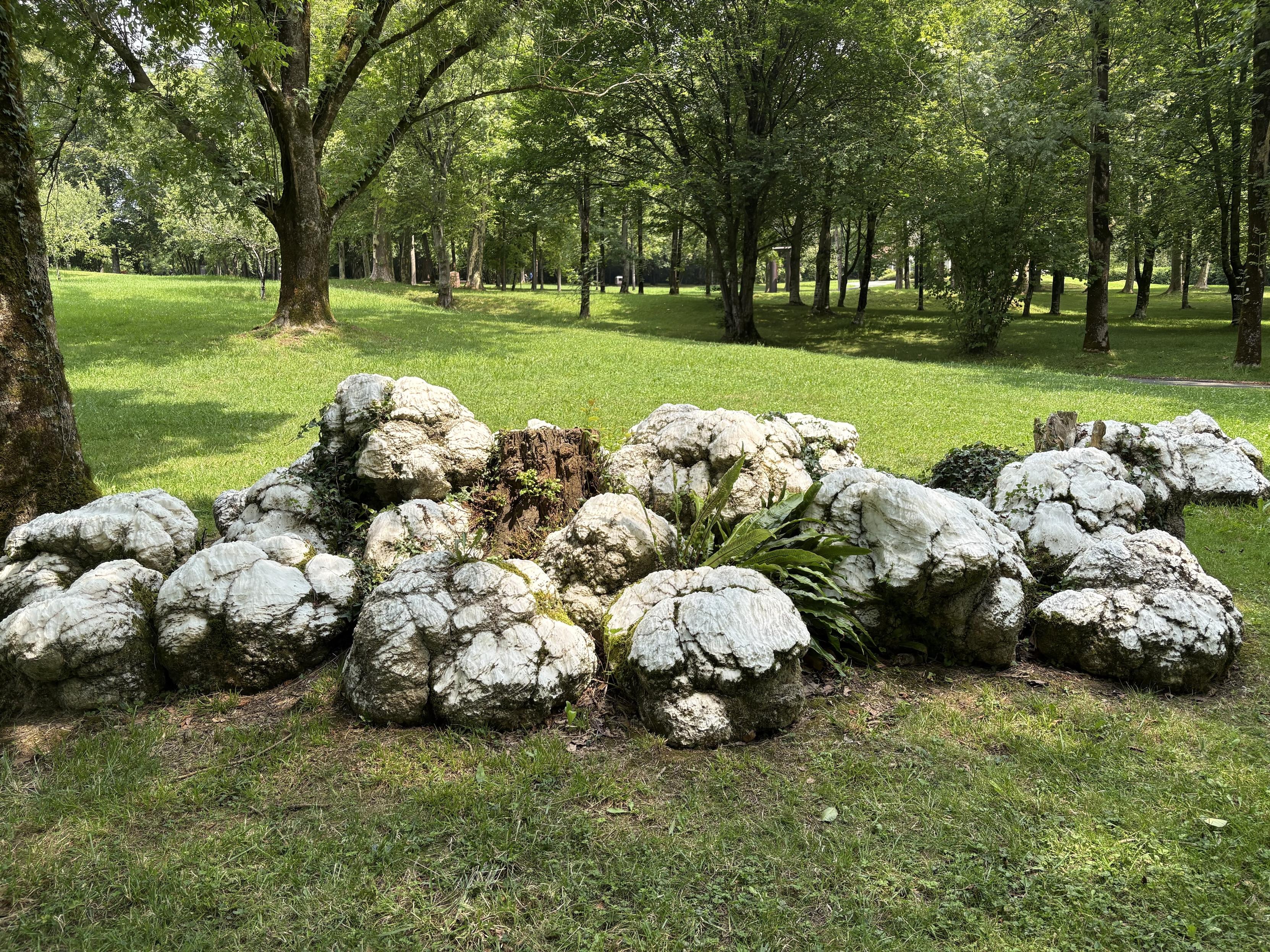 An arrangement of lumps of alabaster with plants growing on and around them. The whole thing is in a treed park