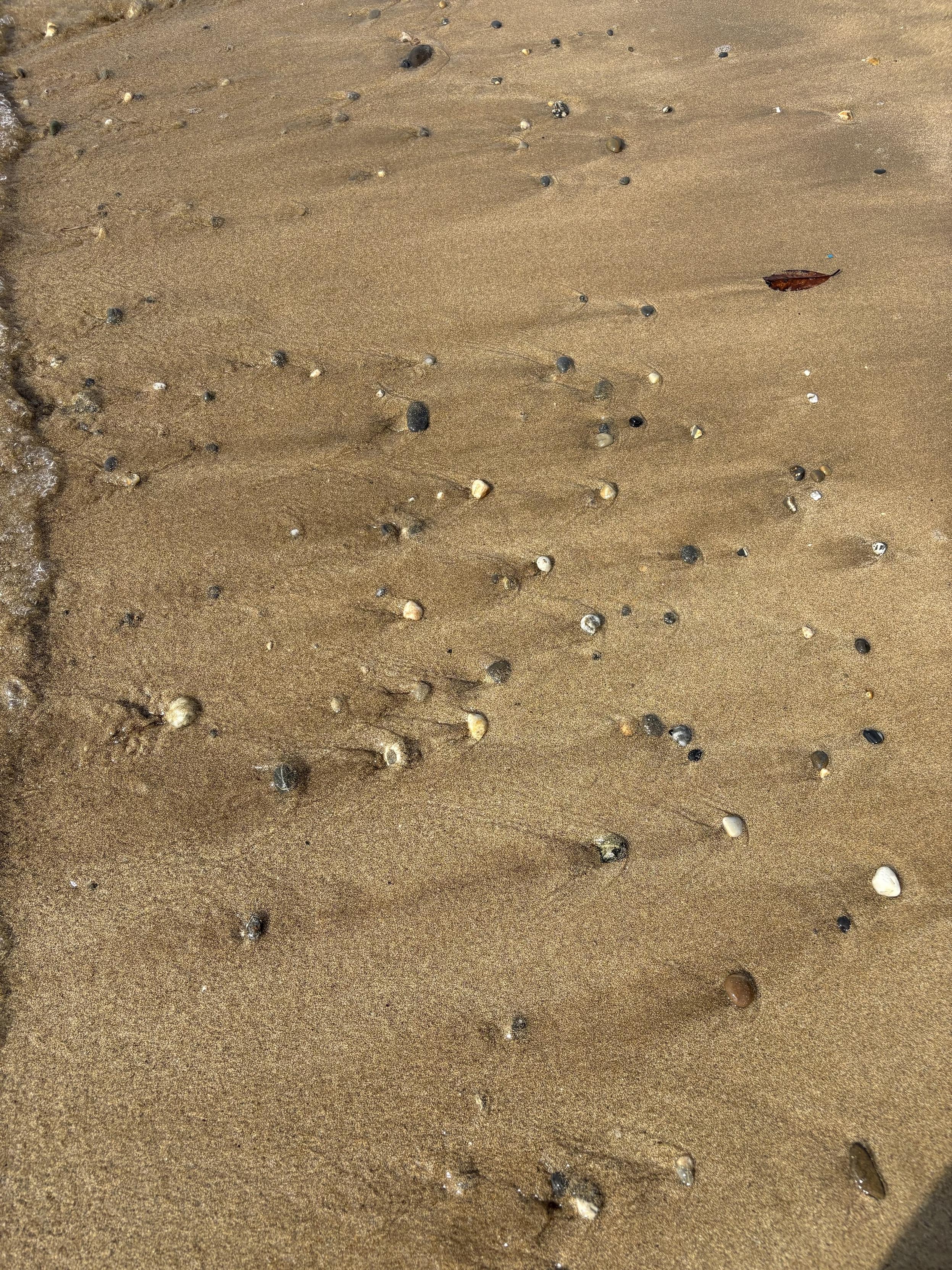 A sandy beach with pebbles. On the left one can see receding water. Each pebble is the origin of a V showing how the water receded