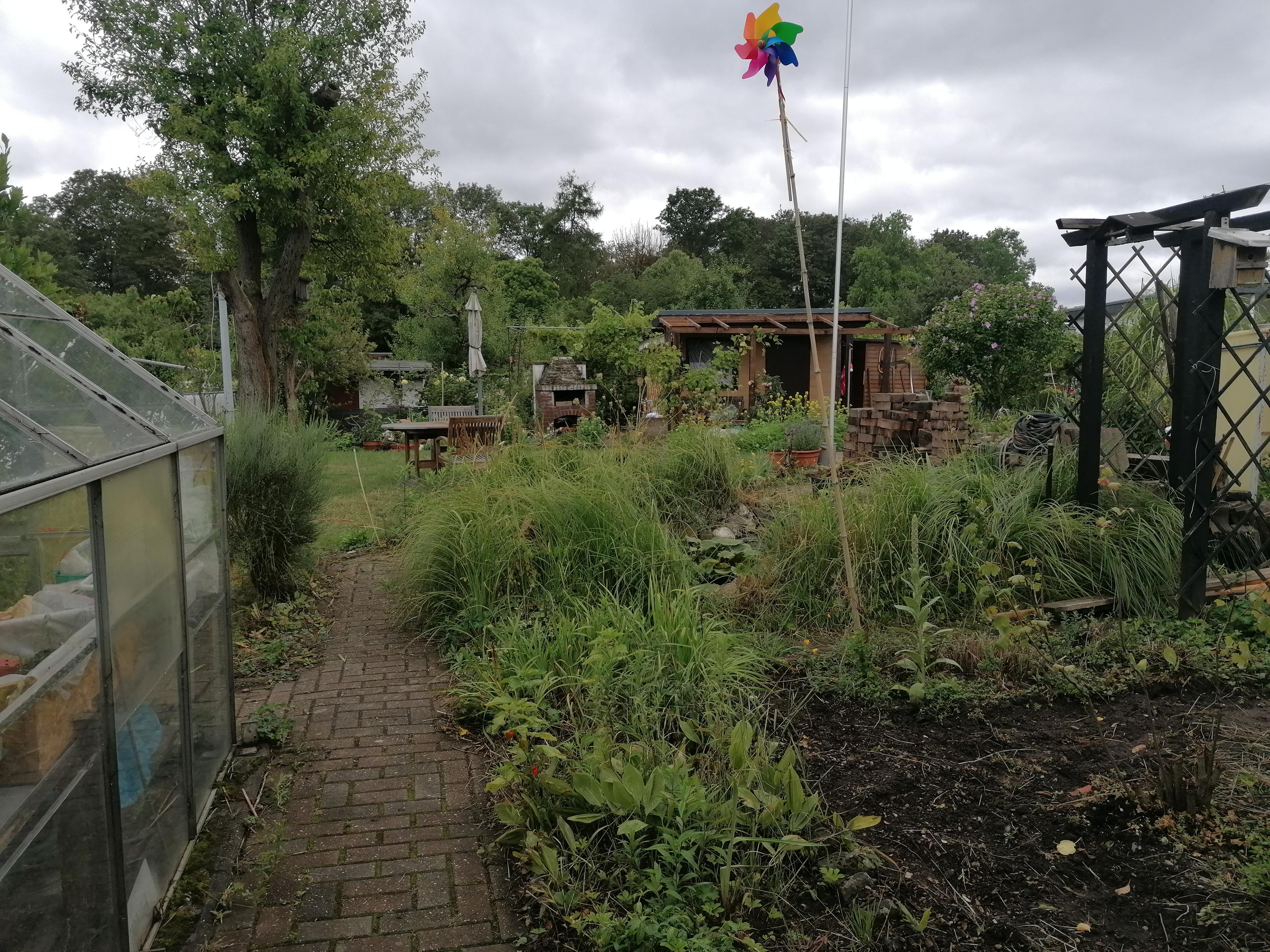 Ende Juli vor drei Jahren, als wir gerade mit Entsiegelung, Rückbau von Erbautem und Umkrempeln des Gartebs begonnen hatten.
