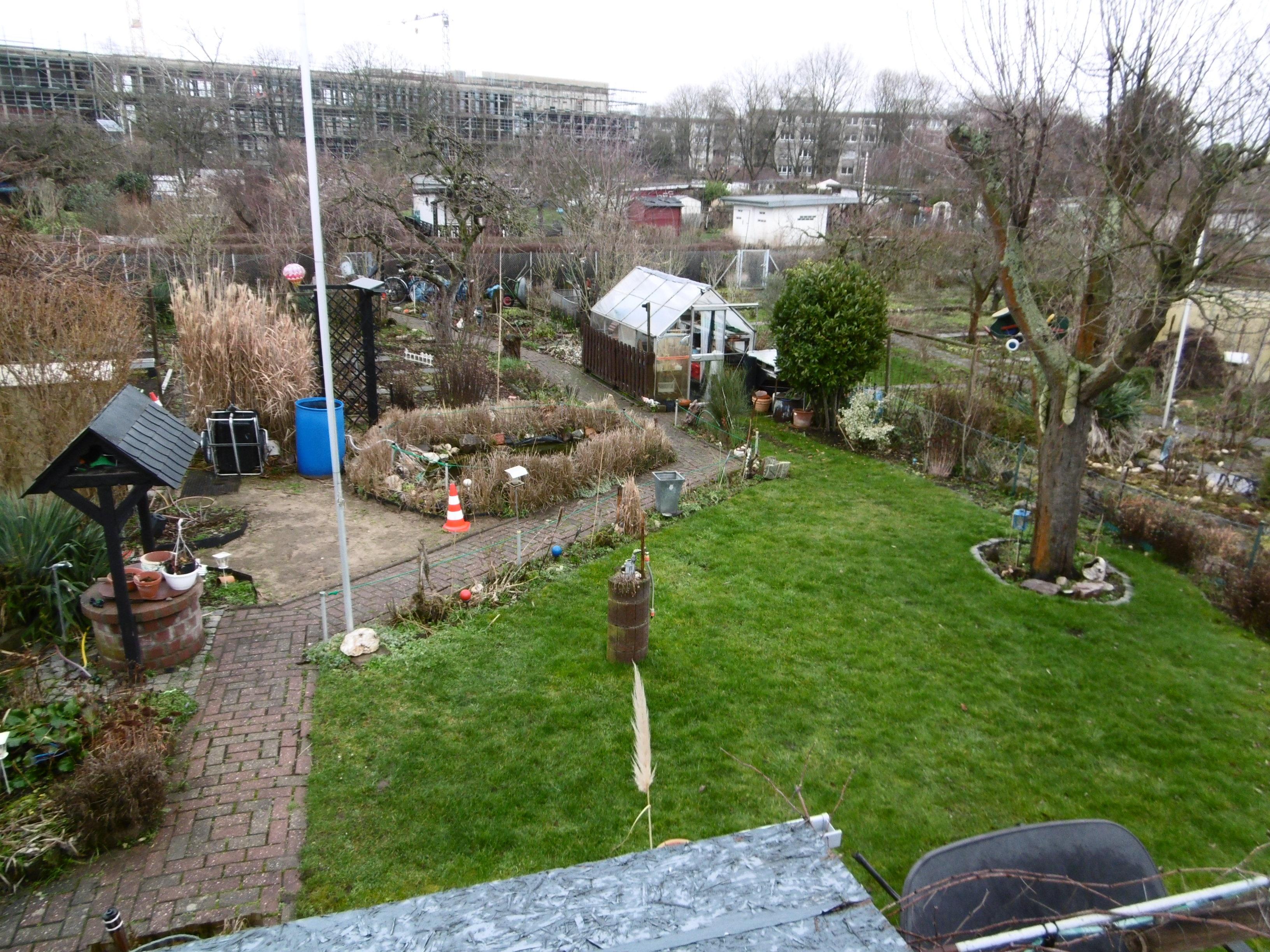 Der Kleingarten im Februar 2023 mit hauptsächlich Rasen, Pflaster, Goldfischteich und allem möglichen, was nicht Garten ist.